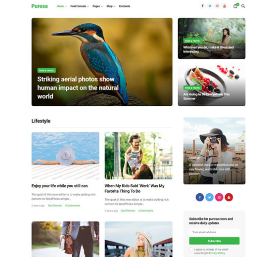 Purosa-Magazine-eCommerce-Elementor-WordPress-Theme_preview