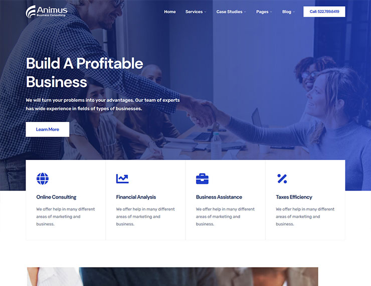 everse_consulting_preview