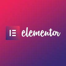 elementor_page_builder