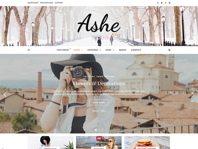 Ashe freee WordPress theme
