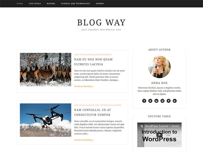 Blog Way free WordPress blog theme