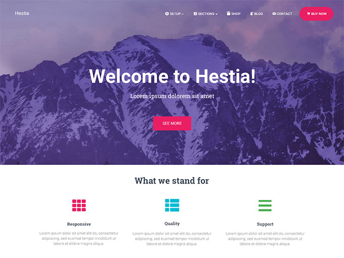 Hestia multipurpose WordPress theme