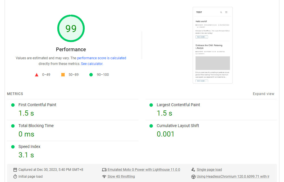 Customify PageSpeed Insights score
