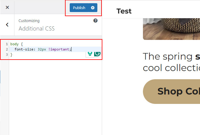 Apply custom CSS in WordPress customizer