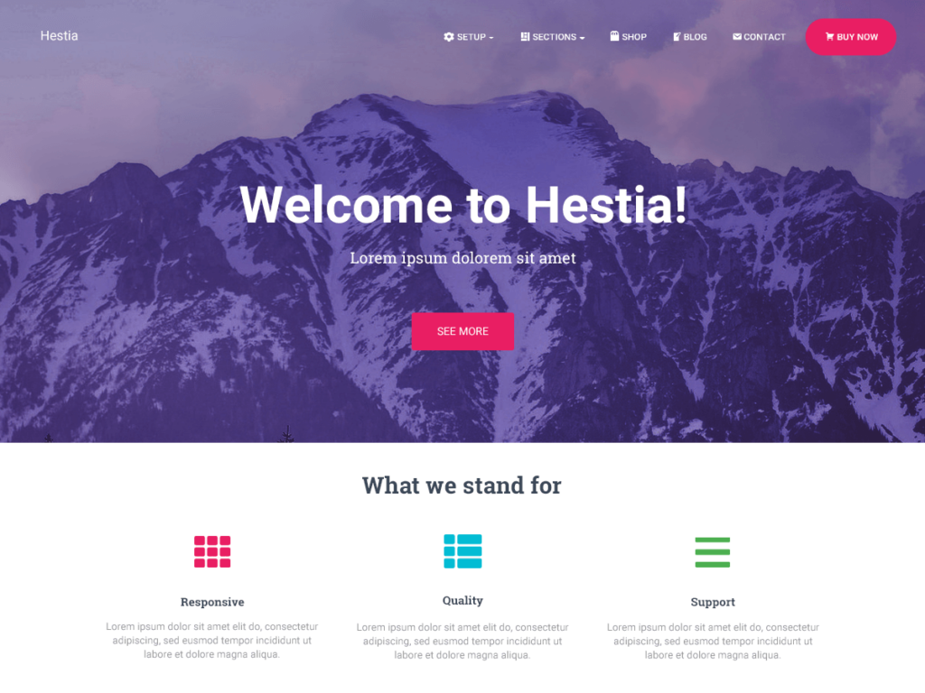 Hestia Pro WordPress theme